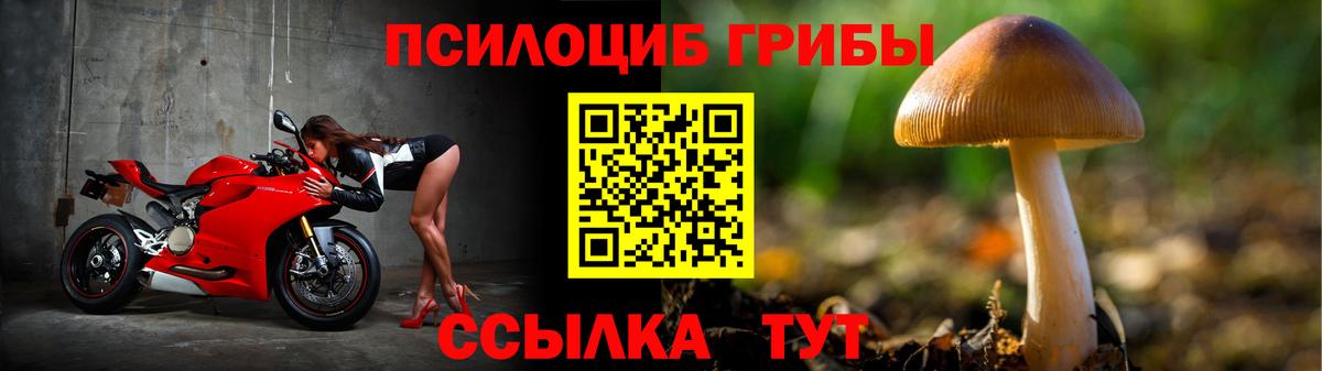 Галлюциногенные грибы MAGIC MUSHROOMS  Галлюциногенные грибы ЛСД  Вход с VPN  Рязань 